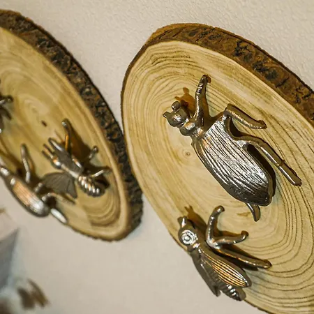 L'amagatall De Talarn, Casa Per A Compartir Holiday home